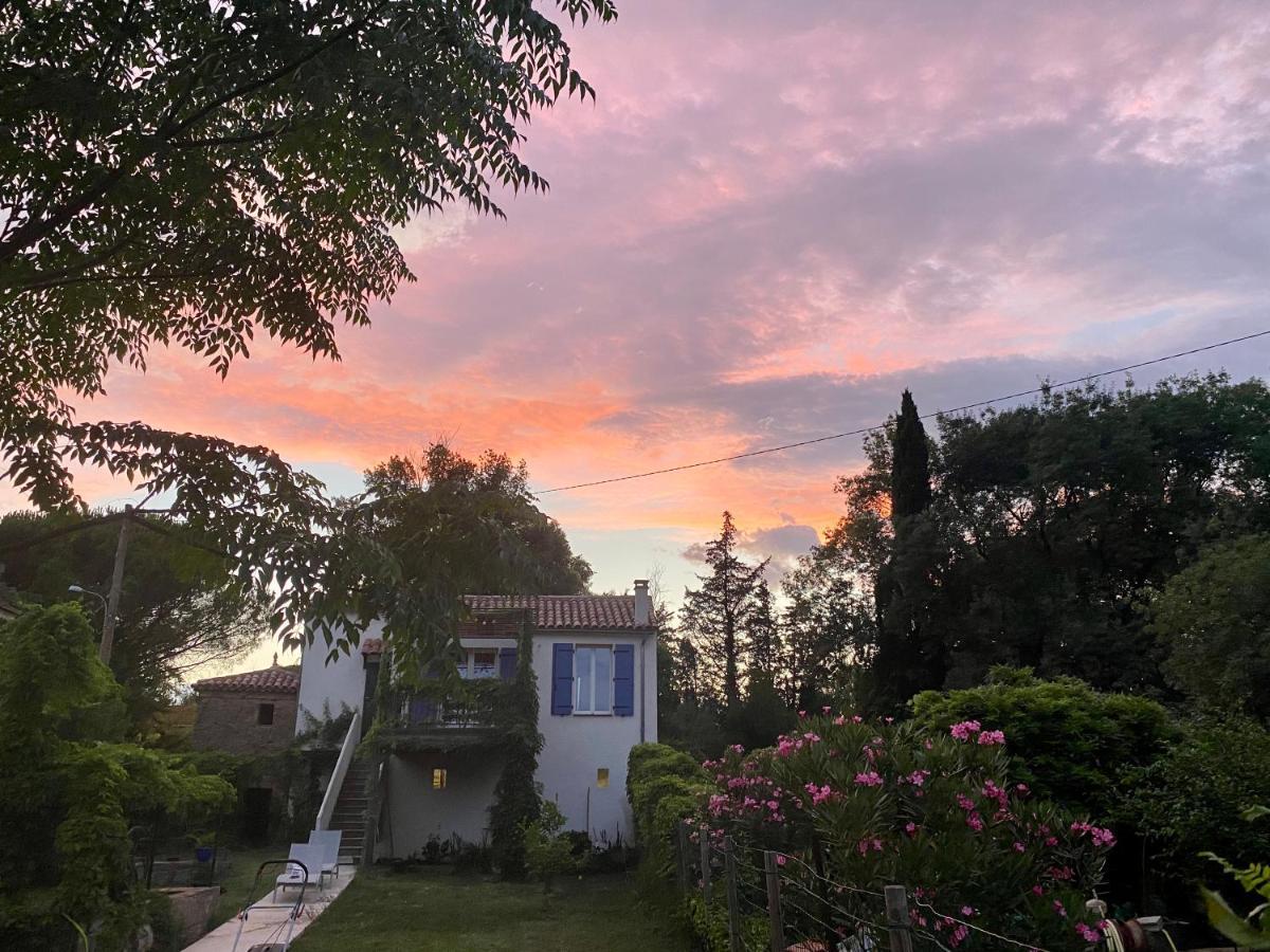 Petite Maison De Charme - Le Jardin Secret D'Alice Roquebrune-sur-Argens Exterior photo